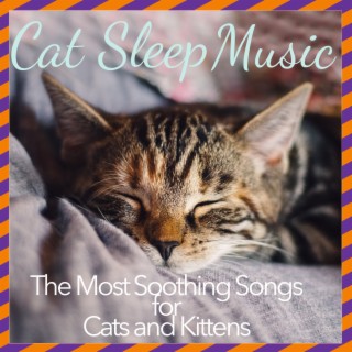 Cat Sleep Music: The Most Soothing Songs for Cats and Kittens