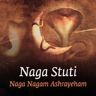 Naga Stuti (Naga Nagam Ashrayeham) lyrics | Boomplay Music