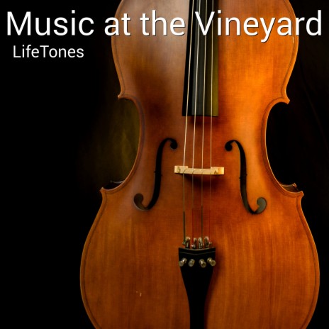 Music at the Vineyard | Boomplay Music