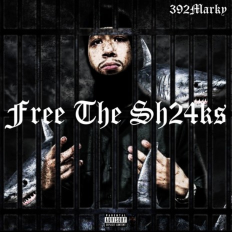 Free The Sh24ks | Boomplay Music