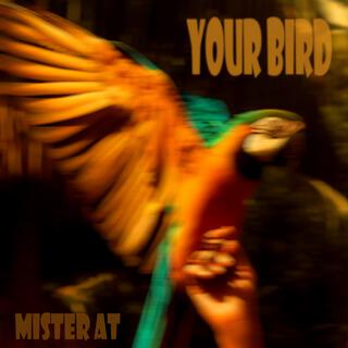 Your Bird