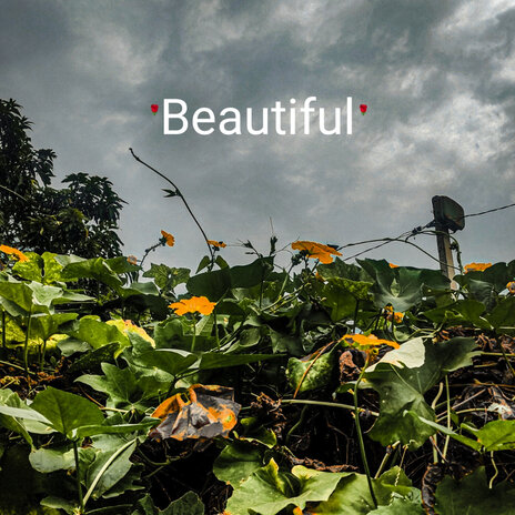 Beautiful | Boomplay Music