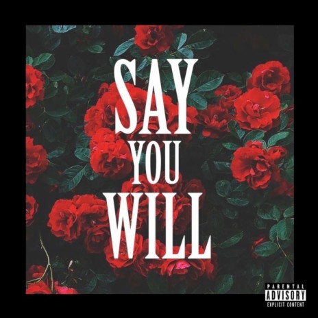 Say You Will | Boomplay Music