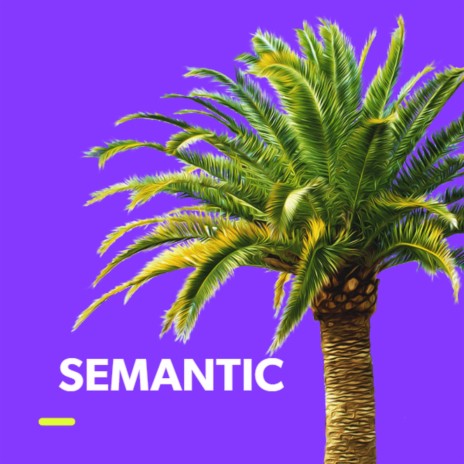 Semantic | Boomplay Music