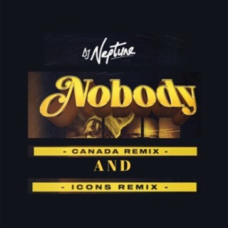 Dj Neptune - Nobody (Canada Remix) & Nobody (Icons Remix)