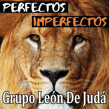 Perfectos Imperfectos