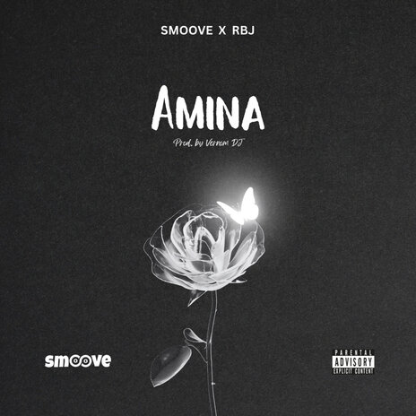 Amina ft. RBJ | Boomplay Music