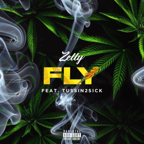 Fly ft. Tussin2Sick