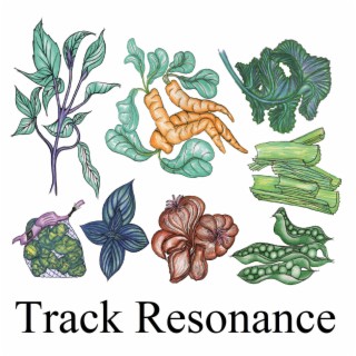 Track Resonance