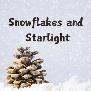 Snowflakes and Starlight