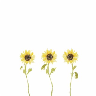 Girasoles lyrics | Boomplay Music