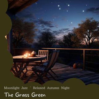 Moonlight Jazz ~ Relaxed Autumn Night