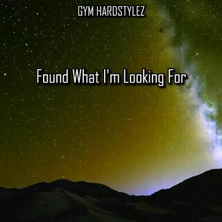 Found What I'm Looking For (Hardstyle)