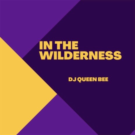 In the Wilderness | Boomplay Music