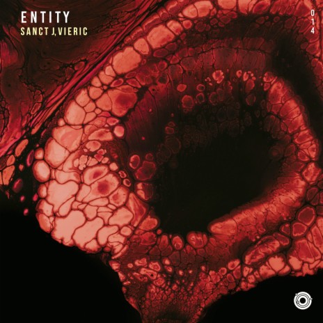 Entity ft. Sanct J