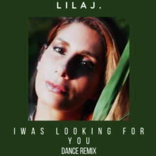 I Was looking for you (Dance Remix)