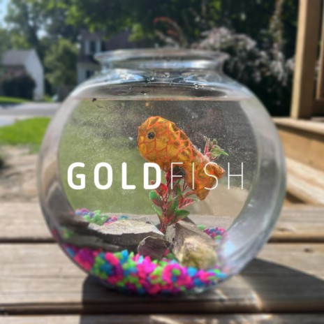 Goldfish