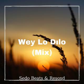 Wey Lo Dılo (Mix)