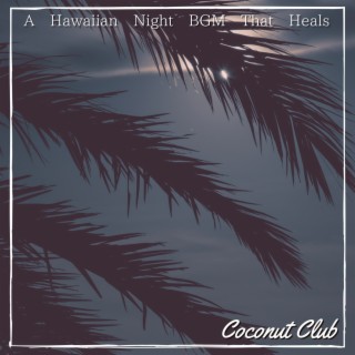 A Hawaiian Night Bgm That Heals