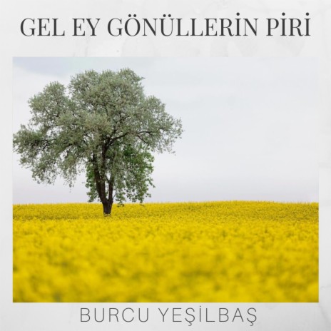 Gel Ey Gönüllerin Piri | Boomplay Music