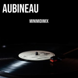 Minimidimix