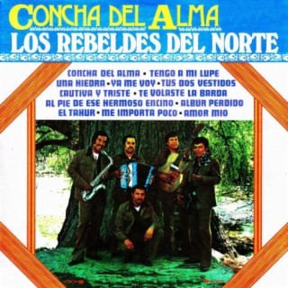 Los rebeldes del norte