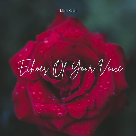 Echoes Of Your Voice | Boomplay Music