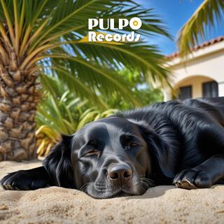 Música para PERROS con ANSIEDAD, Relaja a tu Perro