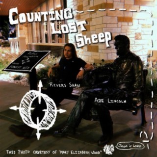 Counting Lost Sheep