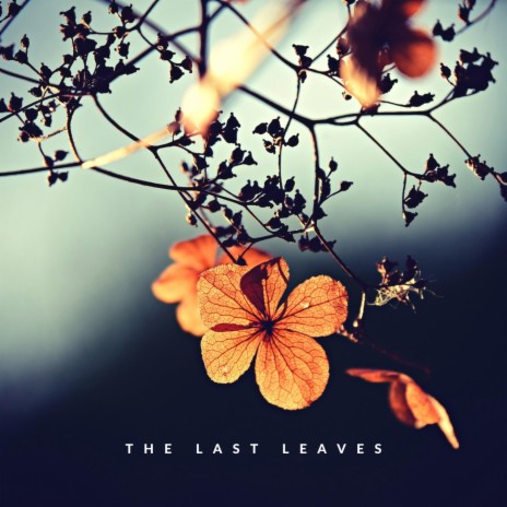The Last Leaves | Boomplay Music
