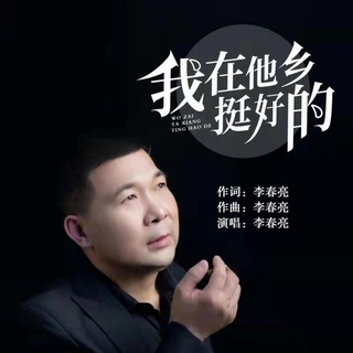 我在他乡挺好的 lyrics | Boomplay Music