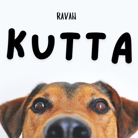 KUTTA | Boomplay Music