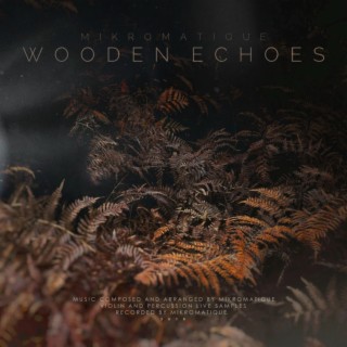 Wooden Echoes