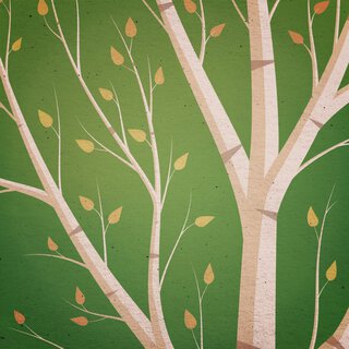 Birch Tree