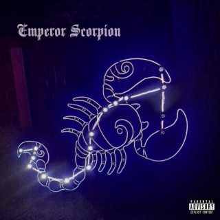 Emperor Scorpion