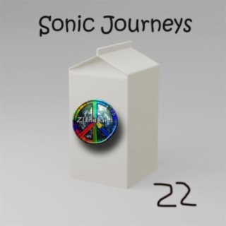 Sonic Journeys Twenty-Two
