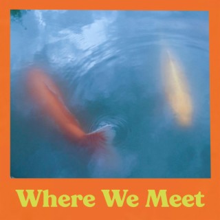 Where We Meet