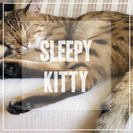 Cat Sleep | Boomplay Music