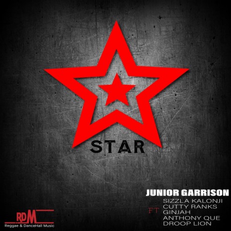 Star ft. Ginjah, Droop Lion, Sizzla Kalonji, Anthony Que & Cutty Ranks | Boomplay Music