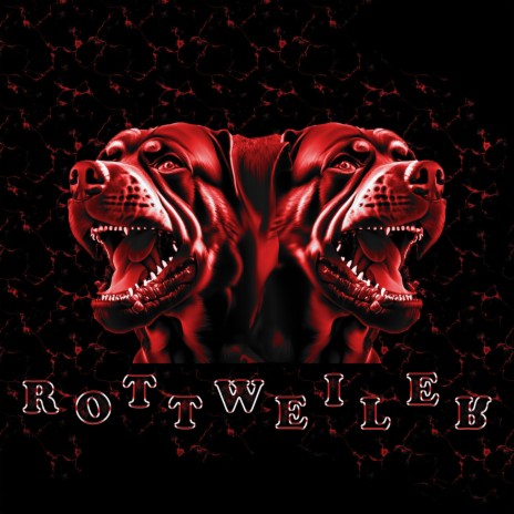 rottweiler ft. 1dad0kids | Boomplay Music