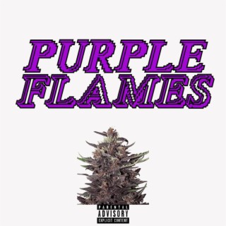 Purple Flames