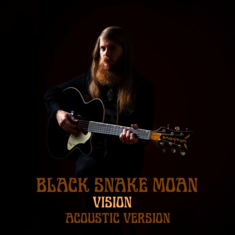 Vision (Acoustic Version) | Boomplay Music