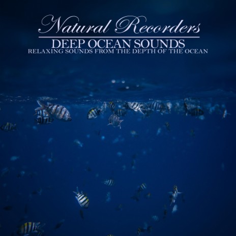 Deep Ocean Sound: Ambient Sounds for Yoga