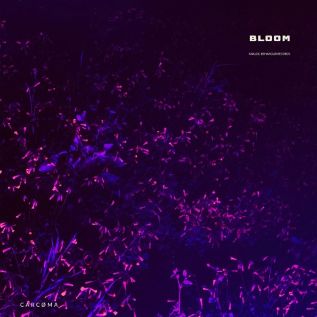 Bloom | Boomplay Music