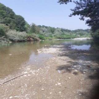 Watching the River Flow