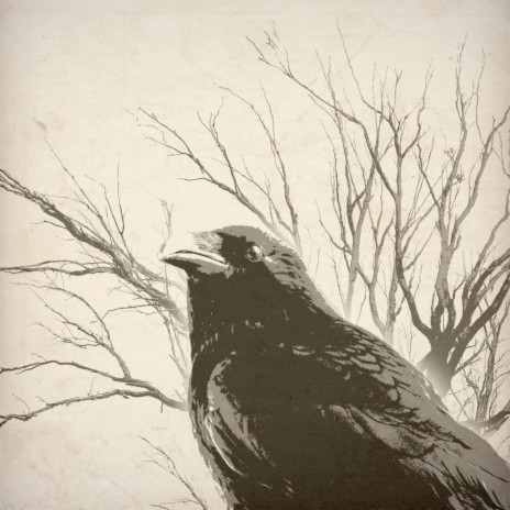 Death of a Crow