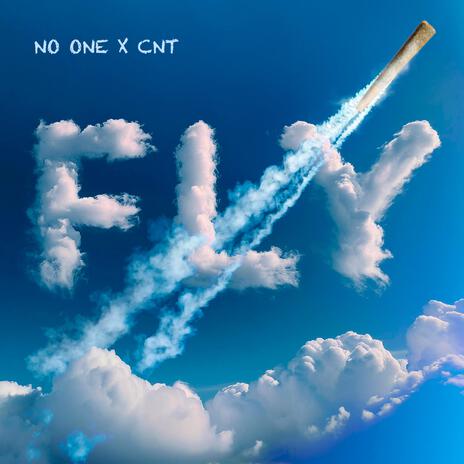 FLY ft. Cnt | Boomplay Music