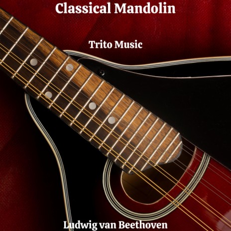 Sonata No. 1 (1st Movement Allegro) Mandolin Edition | Boomplay Music