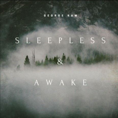 Sleepless & Awake | Boomplay Music