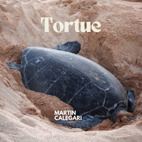 Tortue | Boomplay Music